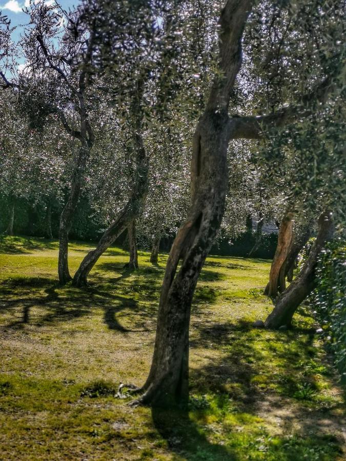 Camping Baldo Brenzone sul Garda Luaran gambar