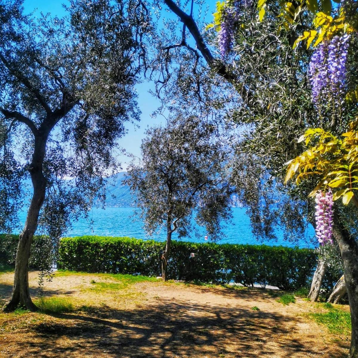 Camping Baldo Brenzone sul Garda Luaran gambar